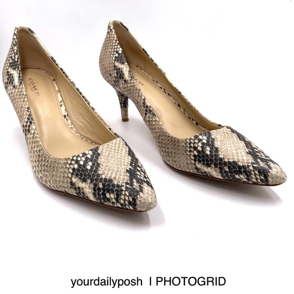 Coach snake print leather Grand gray and black heels pumps US 8.5 - Picture 3 of 11